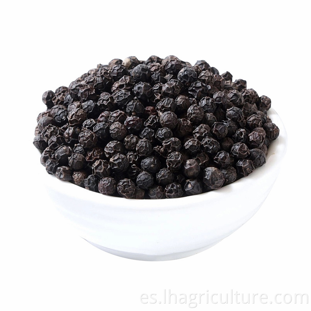 High Quality Black Pepper Seed